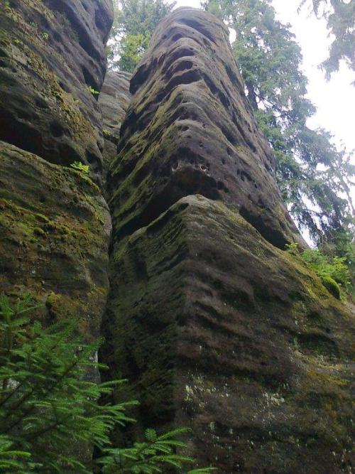 Blick auf die Talkante der Raubschütznadel