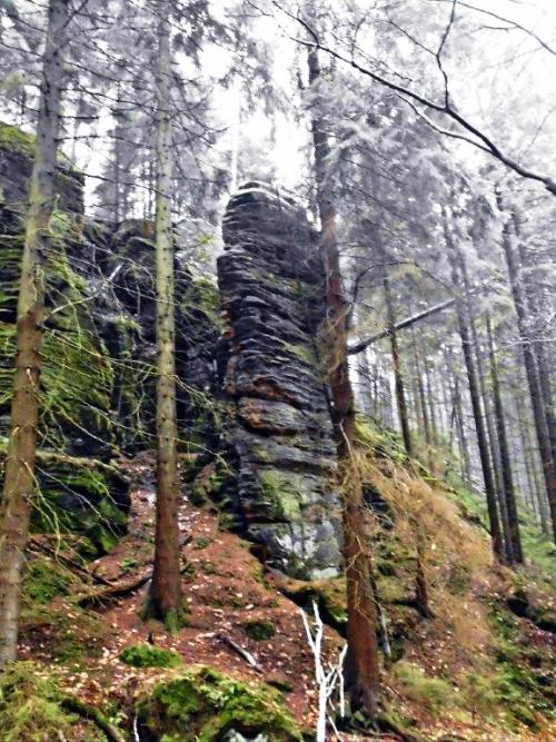 Die Kehllochscheibe