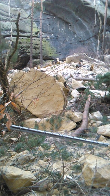 Erosionssanierung / Pflanzaktion gescheitert.