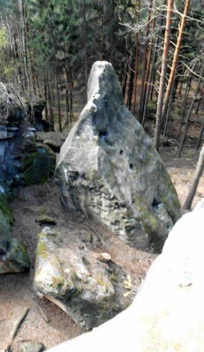 Die Pfingstnadel ist eher ein Nädelchen