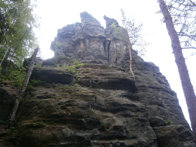 SW-Seite