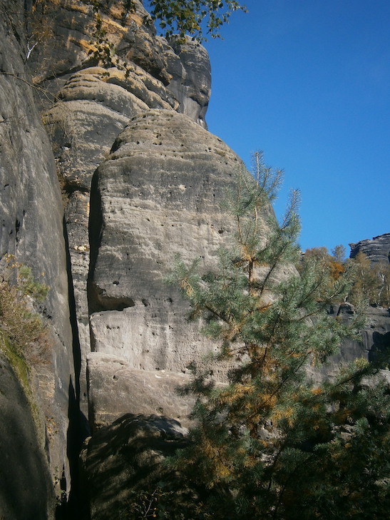 Blick in den Neuen Weg