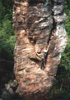 Arnsteiner Turm - AW