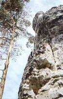 Türkenkopf - Gerader Weg
