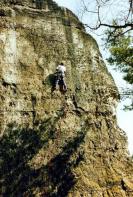 Gansscheibe - Leben in den kleinen Felsen
