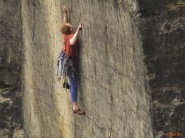 Nonnengärtner - Vertreibung der letzten Idealisten