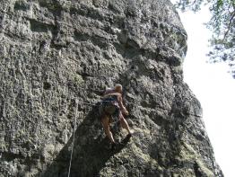 Gansscheibe - Leben in den kleinen Felsen