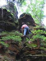 Johanniskopf - Johannisbeere