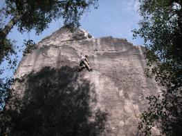 Gansscheibe - Leben in den kleinen Felsen