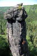 Waldtornadel, Nördliche - Nordostriß