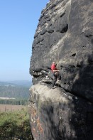 Lilienstein-Westecke - Weisse Lilie